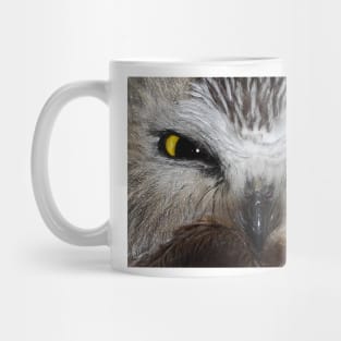 Saw-whet Owl...Saw-eeet! Mug